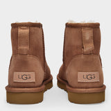 Bottines Classic Mini II en Cuir Chestnut