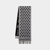 Echarpe Ribbon Reverse - Alexander Mcqueen - Laine - Gris