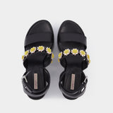 Sandales Tima en Cuir Noir