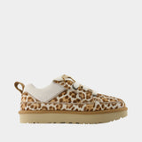 Sneakers Lo Lowmel Plains - UGG - Cuir - Multi