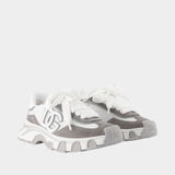 Sneakers Bassa Rete - Dolce&Gabbana - Cuir - Gris