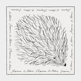Le Foulard Herisson - Jacquemus - Soie - Noir