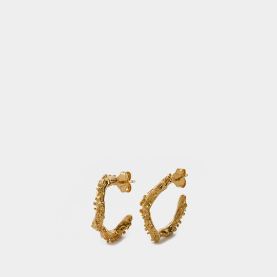 Boucles d'Oreilles Lunar Rocks Hoop en Or